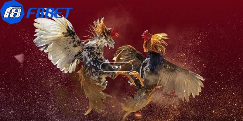 Các phiên bản đá gà F8bet hot 2024